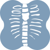 Better Spinal Alignment